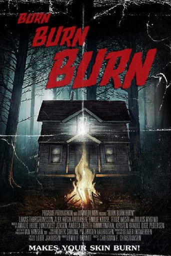 Póster de Burn Burn Burn