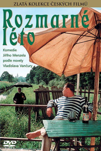 Póster de Rozmarné léto