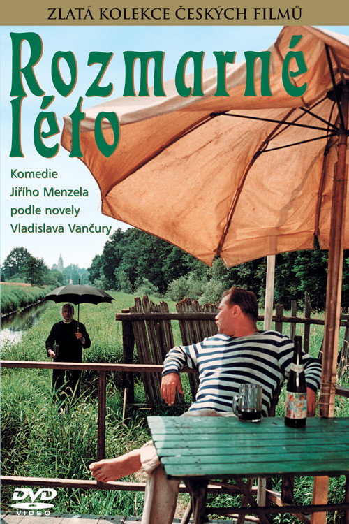 Póster de Rozmarné léto
