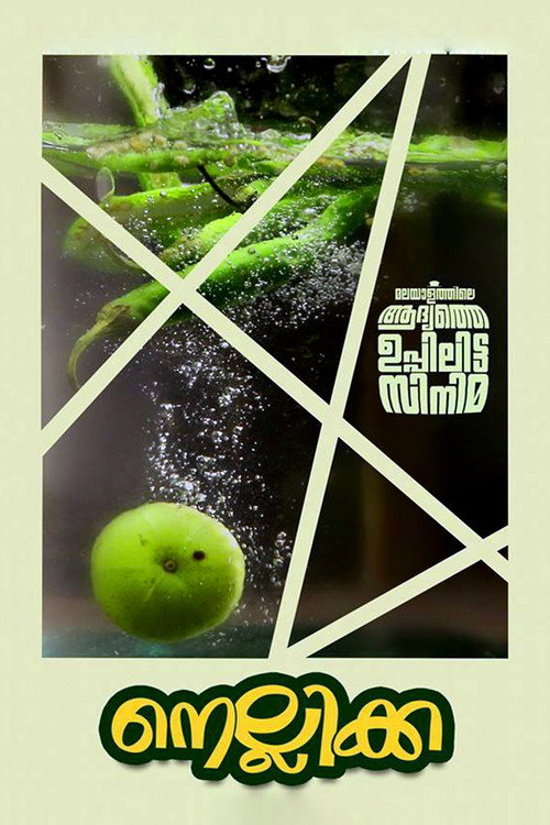Póster de നെല്ലിക്ക