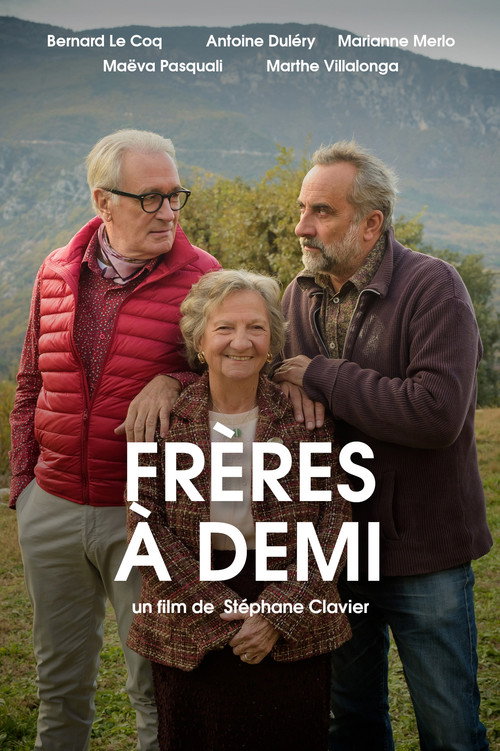 Póster de Frères à demi