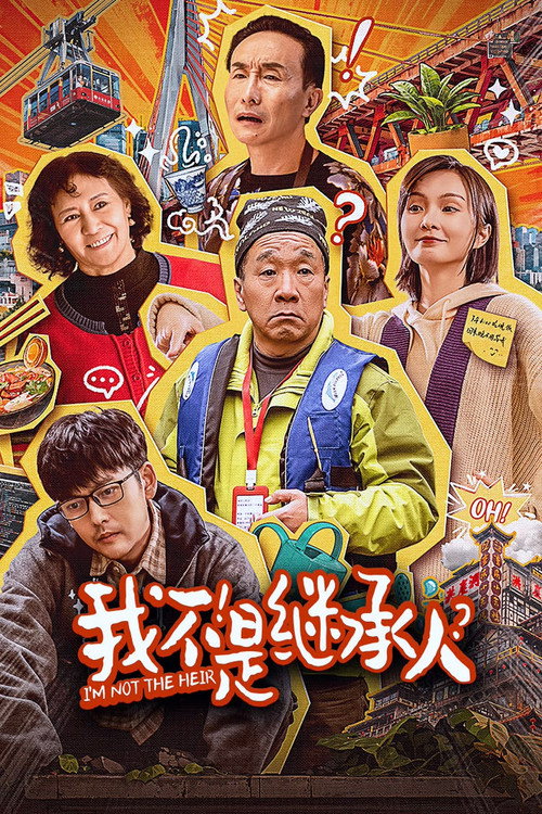 Póster de 我不是继承人