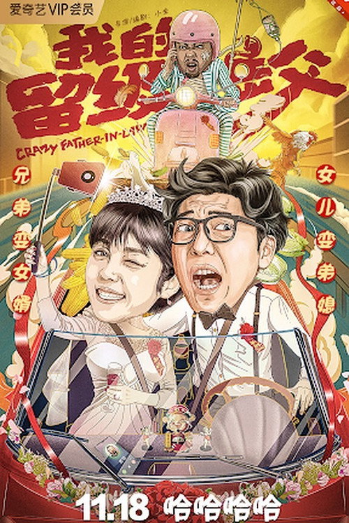 Póster de 我的留级岳父
