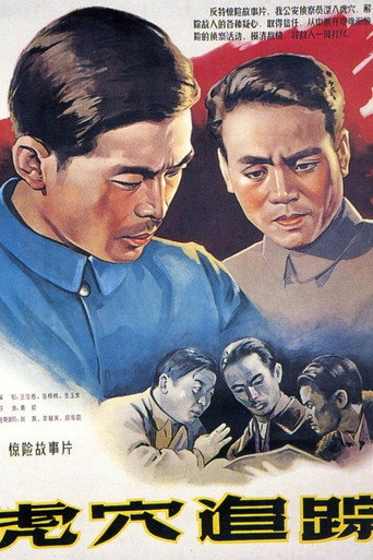 Póster de 虎穴追踪