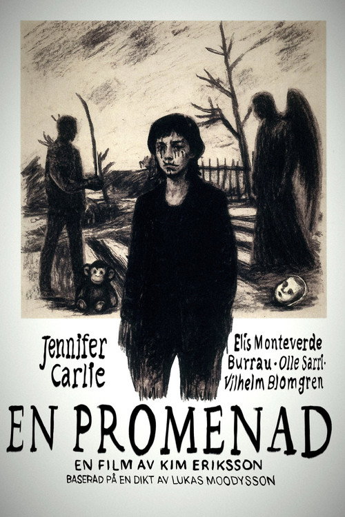 Póster de En promenad