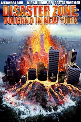 Póster de Disaster Zone: Volcano in New York