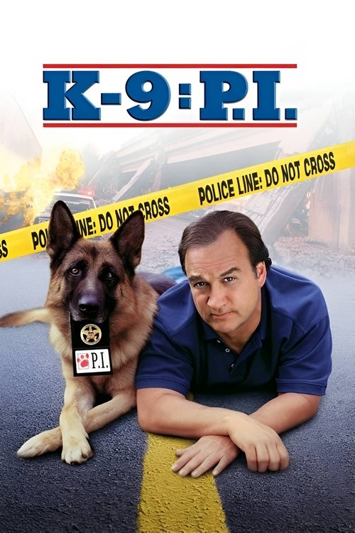 Póster de K-9: P.I.