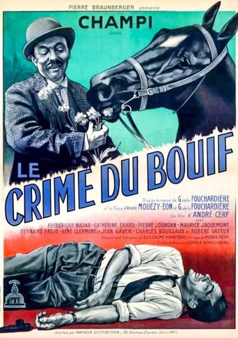 Póster de Le Crime du Bouif