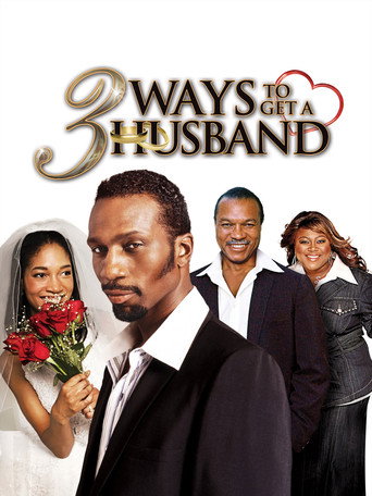 Póster de 3 Ways to Get a Husband