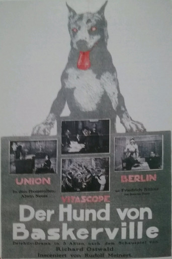 Póster de Der Hund von Baskerville