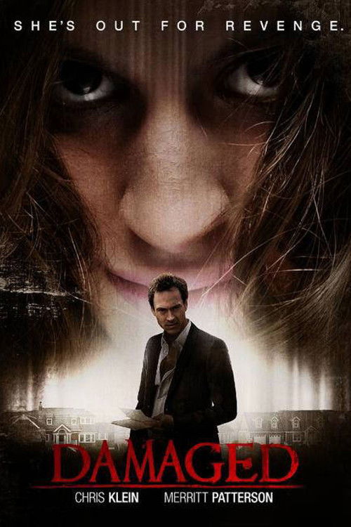 Póster de Damaged