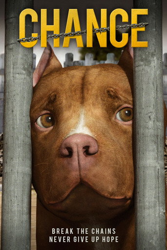 Póster de Chance