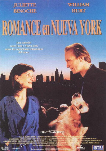 Póster de Un divan à New York