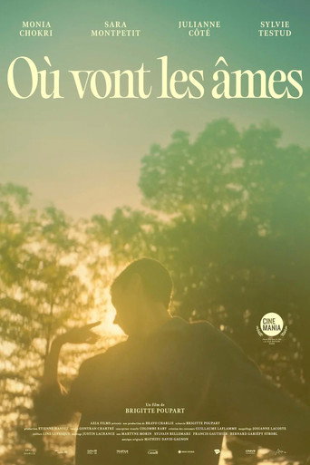 Póster de Où vont les âmes?
