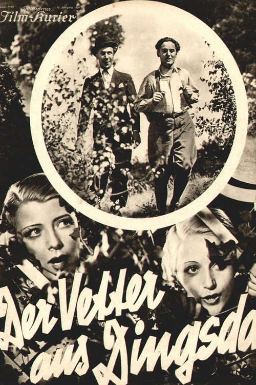 Póster de Der Vetter aus Dingsda