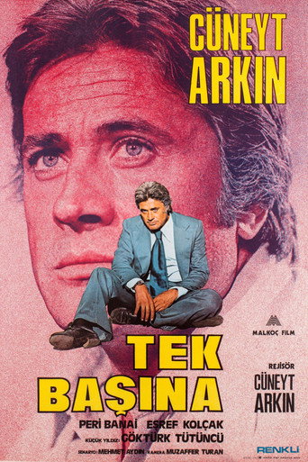Póster de Tek Başına