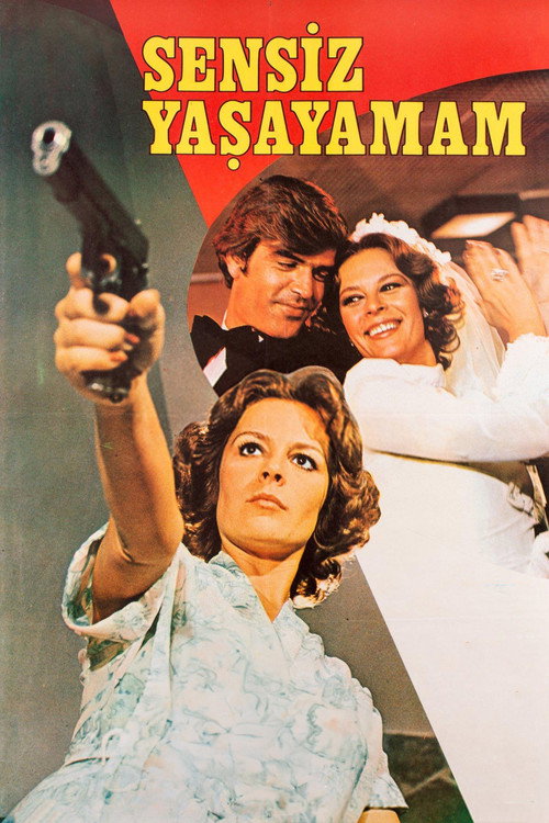 Póster de Sensiz Yaşayamam