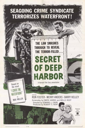 Póster de Secret of Deep Harbor