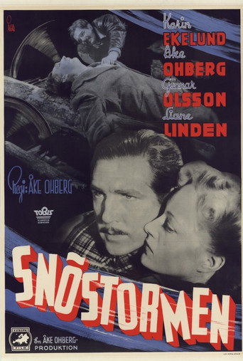 Póster de Snöstormen
