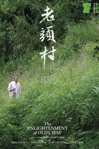 Póster de 老頭村