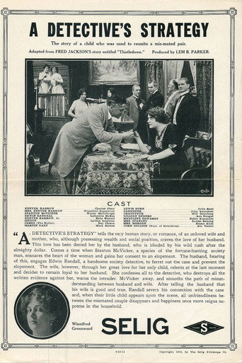 Póster de A Detective's Strategy
