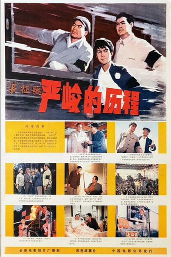 Póster de 严峻的历程