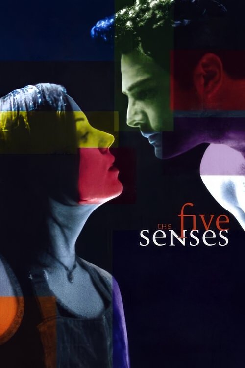 Póster de The Five Senses