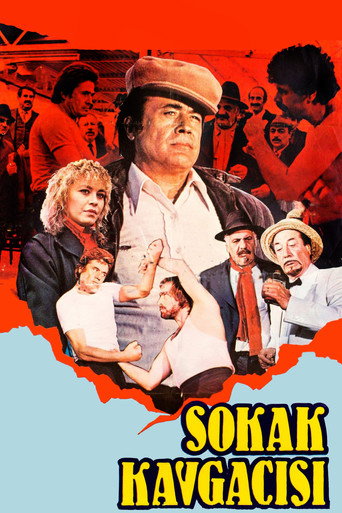 Póster de Sokak Kavgacısı