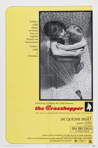 Póster de The Grasshopper