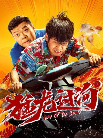 Póster de 猛龙过沟2