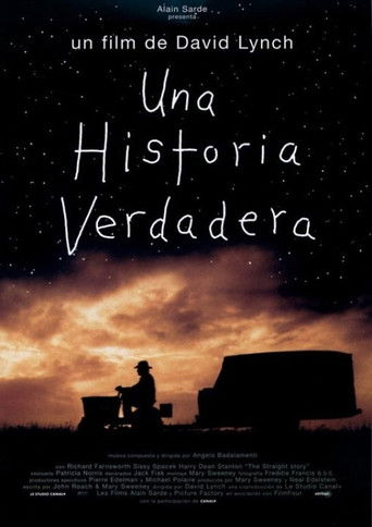 Póster de Una Historia Verdadera