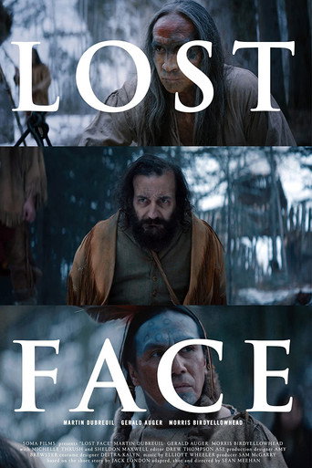 Póster de Lost Face