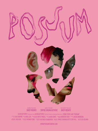 Póster de POSSUM