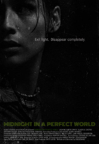 Póster de Midnight in a Perfect World