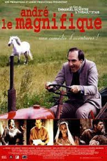 Póster de André le magnifique