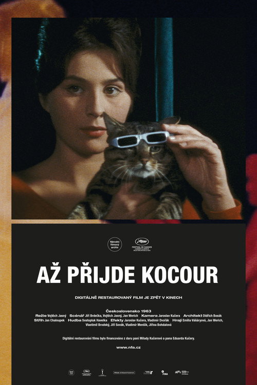 Póster de Až přijde kocour