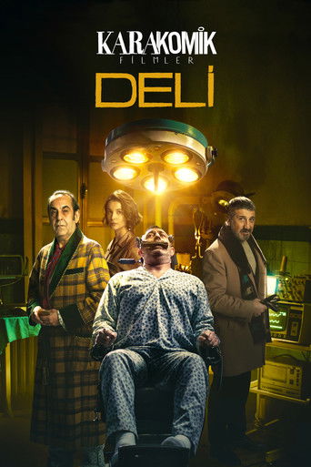 Póster de Karakomik Filmler 2: Deli
