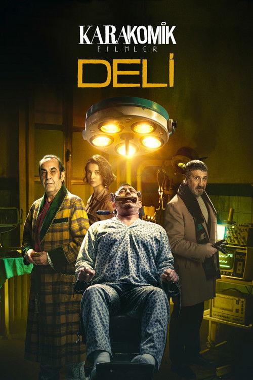 Póster de Karakomik Filmler 2: Deli