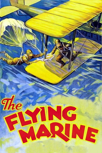 Póster de The Flying Marine