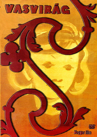 Póster de Vasvirág