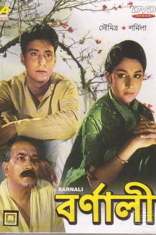 Póster de বর্ণালী