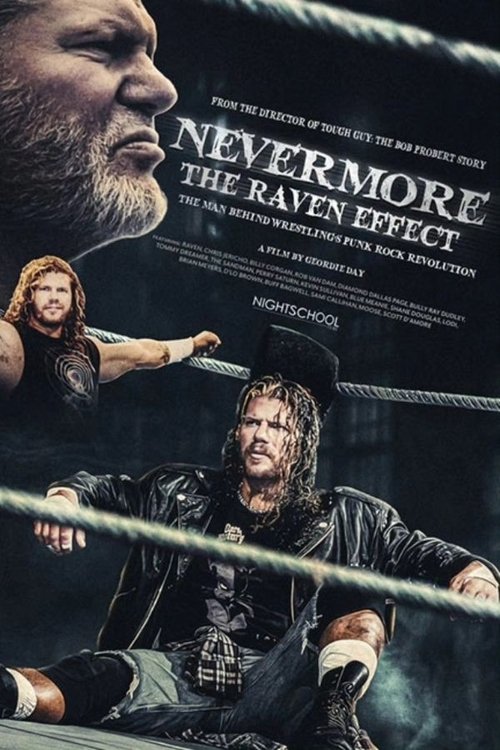 Póster de Nevermore: The Raven Effect