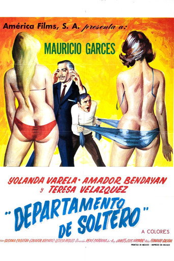 Póster de Departamento de soltero