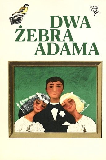 Póster de Dwa żebra Adama