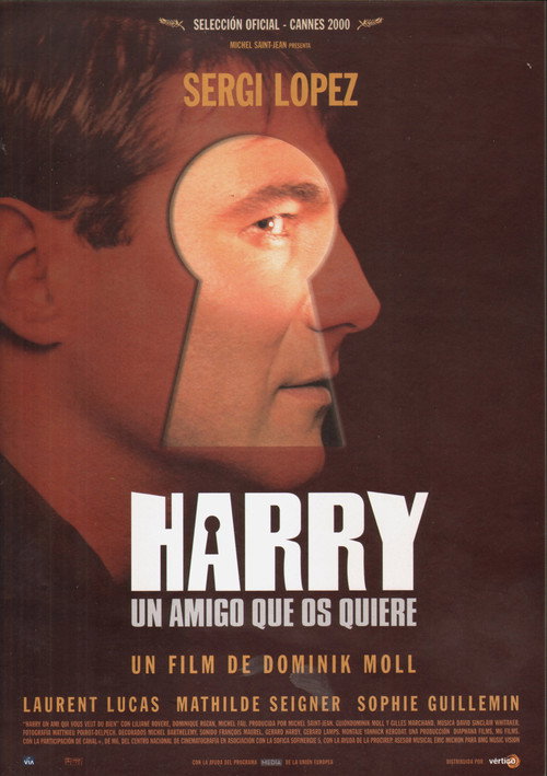 Póster de Harry, un ami qui vous veut du bien