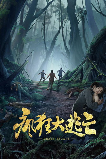 Póster de 疯狂大逃亡
