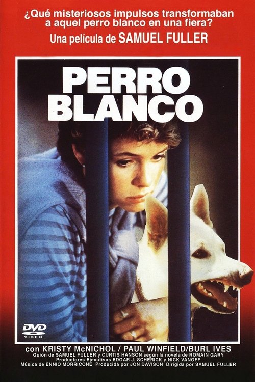 Póster de Perro blanco