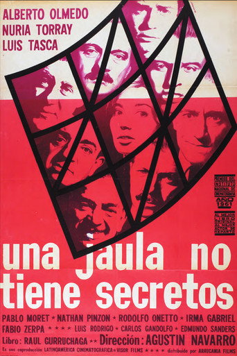 Póster de Una jaula no tiene secretos