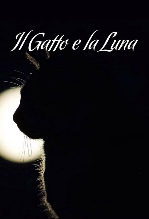 Póster de Il gatto e la luna