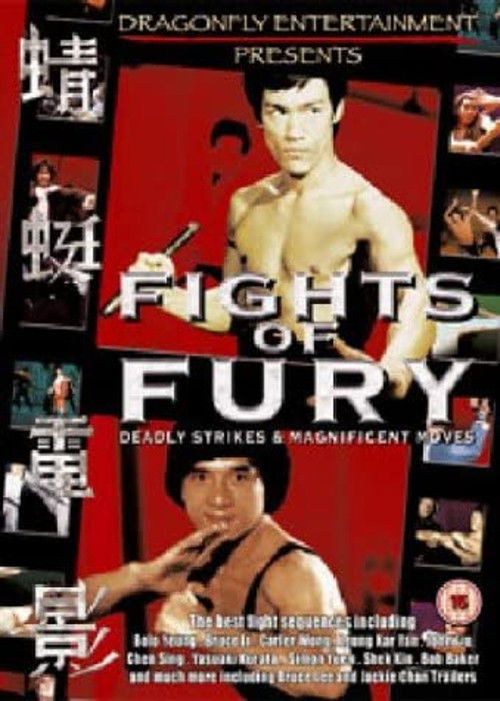 Póster de Fights of Fury